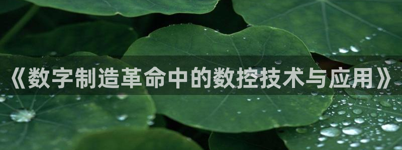 天辰娱乐登陆平台