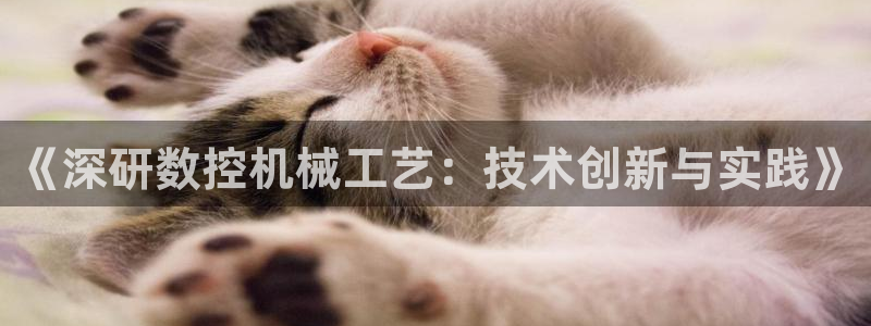 天辰娱乐指尖所