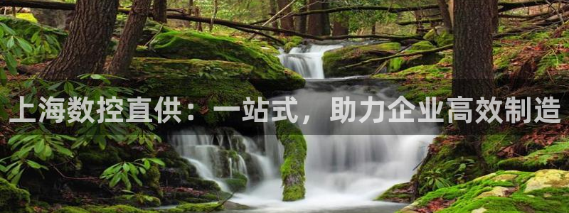 天辰娱乐公司