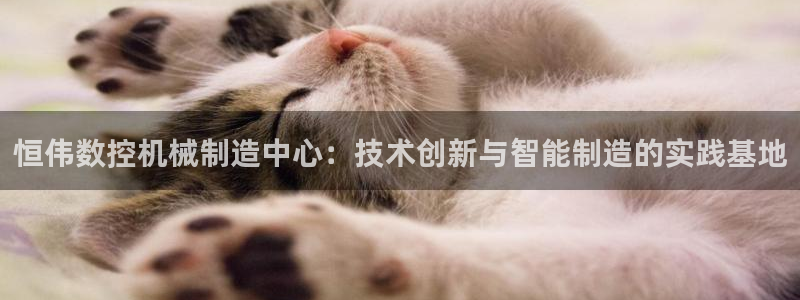 天辰娱乐上级：恒伟数控机械制造中心：技术创新与智能制造的实践基地