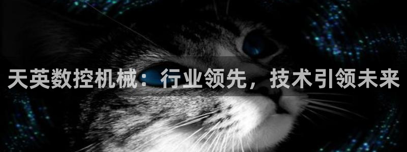 天辰娱乐公司