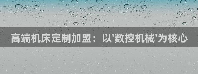 天辰注册娱乐：高端机床定制加盟：以\'数控机械\'为核心