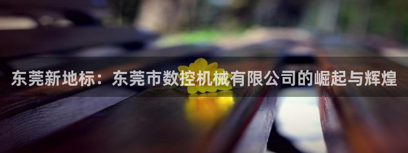 深圳天辰娱乐
