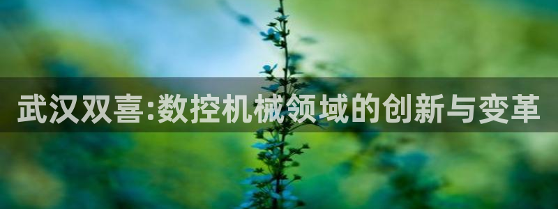 天辰娱乐总管：武汉双喜:数控机械领域的创新与变革