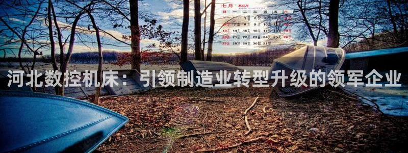 广东天辰娱乐