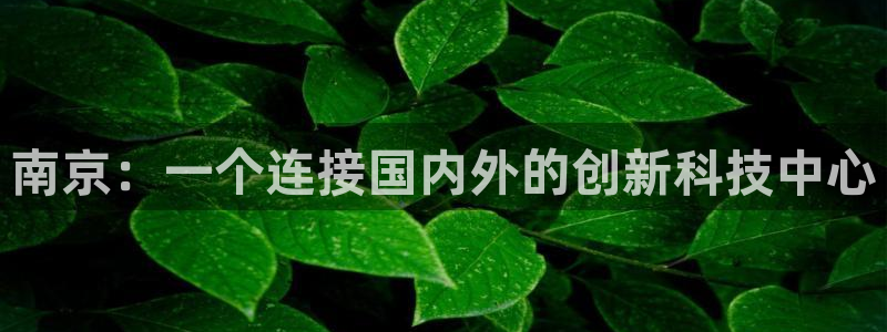 天辰团队贝高娱乐