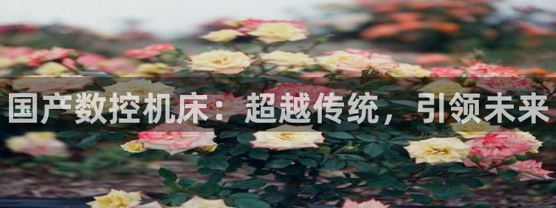 天辰娱乐在线登录注册