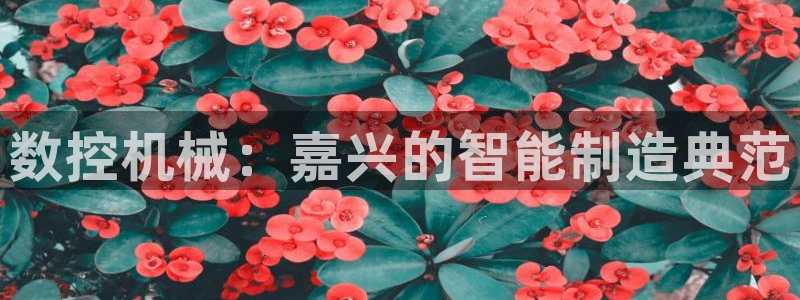 天辰娱乐咋样