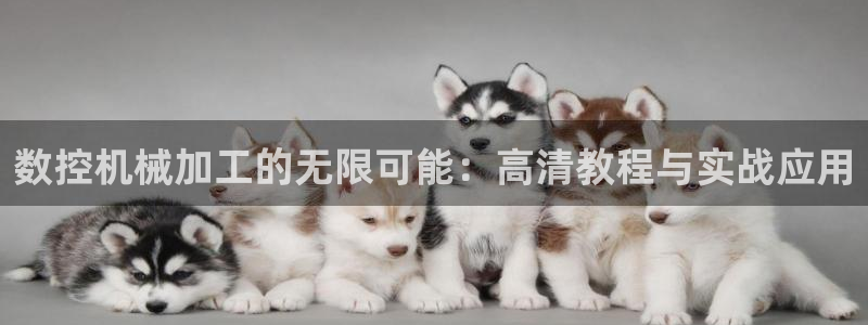 nba天辰娱乐