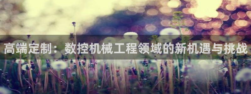 天辰娱乐51137