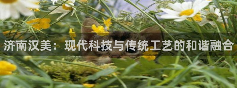 天辰娱乐天辰宝