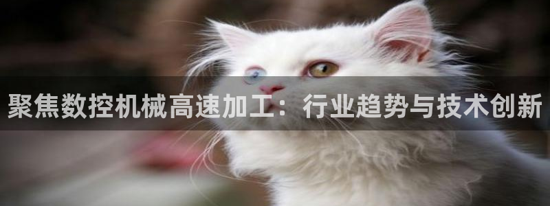 天辰娱乐平台入口