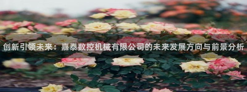 天辰宝宝娱乐