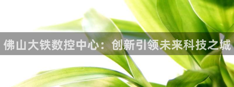 天辰娱乐1966