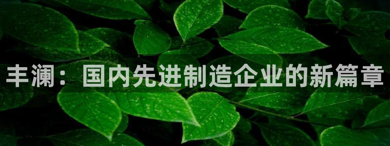 天辰(娱乐注册