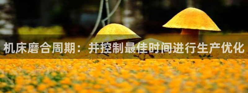 天辰 娱乐注册