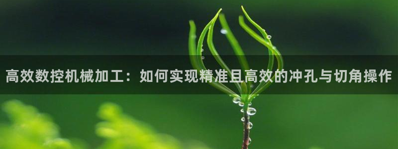 天辰娱乐的网址首页