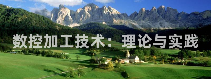 天辰娱乐 . 鱼刺