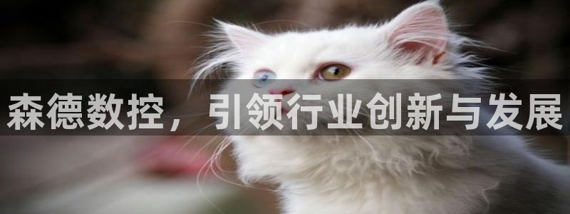 天辰辰娱乐代理